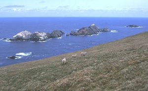  View of the skerries, including Muckle Flugga and Out Stack, from the western slopes of Hermaness Hill. © Anne Burgess, Geograph