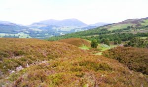 Bhac Path. © Alisdair MacDonald, Geographic