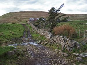 Cattle and sheep are still kept at Ramasaig. The tumbling stone wall in this picture is from a former era, and the muddy farm track, which was once a busy route to the now deserted township of Lorgill, is only used by walkers visiting the ruins. © Richard Dorrell, Geograph