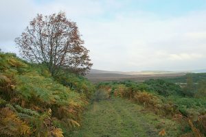 Eastward view under Binne More. © Des Colhoun, Geograph