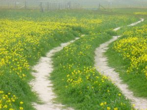 NF727295: looking north along the Machair Way by Loch Bornish. Good firm going on the path across the fertile sandy grassland of South Uist's west coast. © Colin Smith, Geograph
