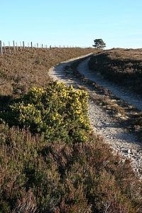 Crossing the Moss of Birnie, © Anne Burgess, Geograph