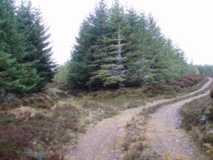 The less well used path to the left.  , © Graham Marr