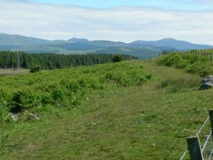 NX 361 641: Old Military Road heading towards Newton Stewart. © RH Dengate, Geograph