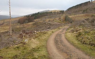 Heritage Path for May 2026: Military Road to Fort William