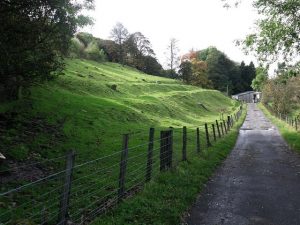 NS748771: the Antonine Wall overlooking East Dullatur Farm, more like a terraced fortified line than a wall. © Robert Murray, Geograph