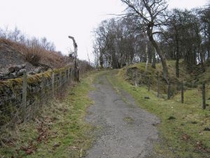 NS751772: looking east along the Old Parish Road. The ditch of the Antonine Wall can be clearly seen on the right of this photograph. © Texas Radio and The Big Beat, Geograph