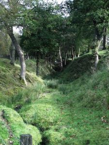 NS752772: Antonine Wall at Dullatur. The ditch and rampart to be more precise. Described on the 1922 edition of the O.S. plan as ''Remains of the wall of Antoninus Pius constructed by Lollius Urbicus A.D. 140 Roman Legions II VI & XX.'', © Robert Murray, Geograph