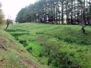 NS758773: Antonine Wall near Westerwood. The ditch becomes much shallower towards the fort. © Robert Murray, Geograph