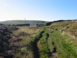Pass, below Hare Hill. © Richard Webb, Geographic