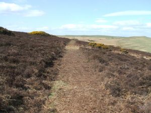 The cleared section of path towards the north end.  , © Euan Calvert