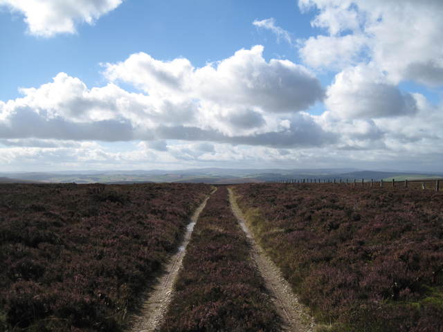 Muir Road from Lauder to Dunbar (Herring Road)