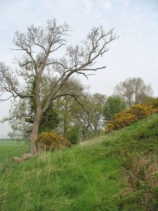 Murrayshall II Lime Works Tramway