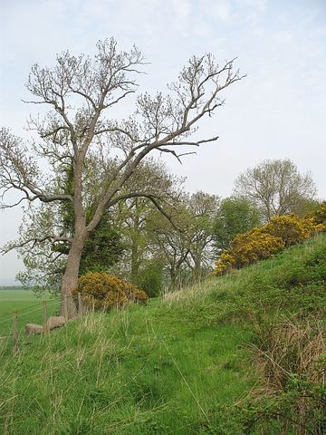 Murrayshall II Lime Works Tramway