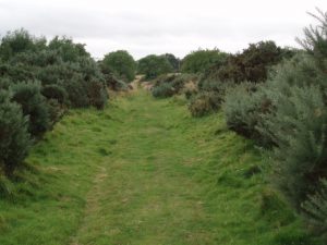 Vehicular width track just north of Raithill.   , © Graham Marr