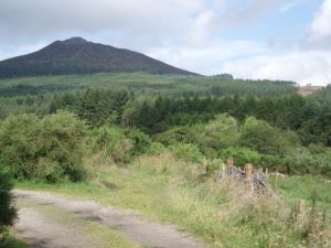 Where the old Turnpike leaves the farm track.  , © Graham Marr