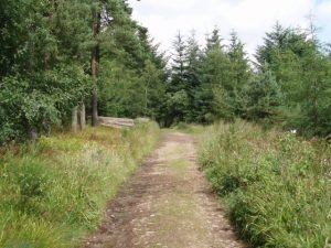 The track north of Dorlethen.  , © Graham Marr