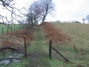 Old Cart Track to Muckhart