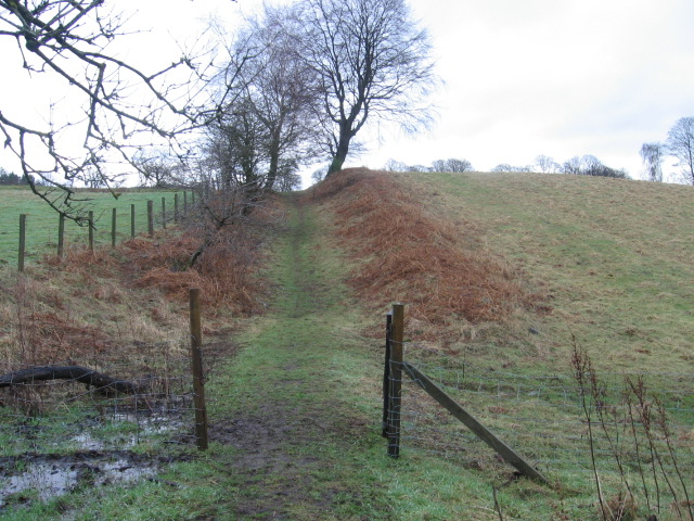 Old Cart Track to Muckhart