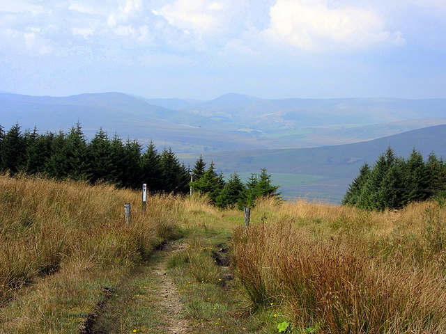 Old Coal Road