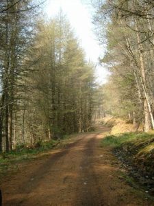 Old Drove Road