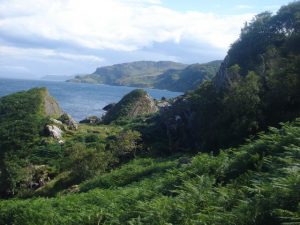 NG586414 looking south along the missing footpath. Nightmare on Raasay, bracken hell (July 2009). © Keith Cunneen, Geograph