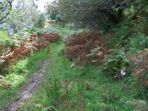 NG598367 looking SSW along the path from Hallaig to North Fearns. Hallaig is now a deserted and ruined settlement. This coastal path was once the access road. Just visible on the right is a milestone (2010). © Richard Dorrell, Geograph