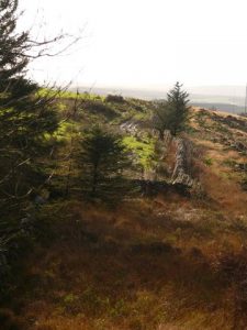 NX457691: looking WSW towards Newton Stewart along all that remains of the Old Edinburgh Road here. © Andy Farrington, Geograph