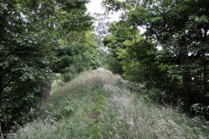 Old Fordell Railway
