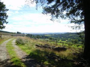 NO387628 looking SSE from Kinrive Plantation to Strathmore and the Sidlaw Hills beyond (2013). © jamesnicoll, Geograph