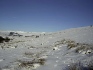 NO382641 looking north. On this day the path to Gella was buried in waist-deep drifts. The hares and deer had the sense to walk beside it and so (after a false start) did I! Much of Kinrive Plantation has been taken out, making the views more open (2009). © Kevin Philpott, Geograph
