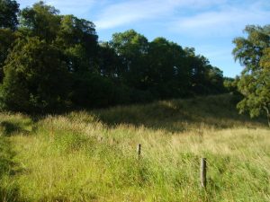 NO391628 looking NW (2013). The line of the old farm track to Kinrive can be seen here. This track was superseded by a new road when the bridge was replaced by a new structure further up stream in the 1990s. © jamesnicoll, Geograph
