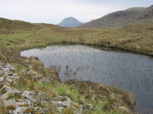 Old Harris Drove Road