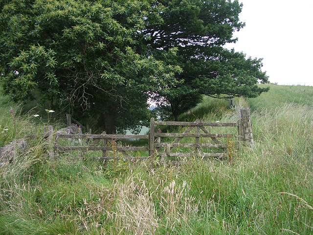 Old Military Road from Blairgowrie
