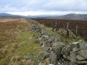 NS983270: looking north along Bent Rig. © Chris Wimbush, Geograph