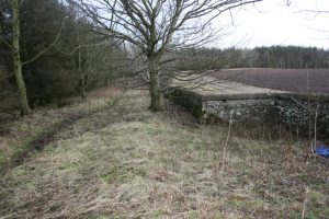 NT926616: Boggy and wet; Spring water (2016). This section of the Old Post Road is also known as The Avenue. The wet part may be the vicinity of the Crystal Dub, a small pond or dub that lay beside the Avenue.        , © Lorne Anton, Lorne Anton