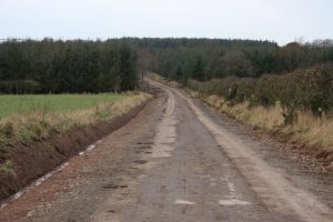 NT916622 looking NW along the line of the Old Post Road, a section of which has been upgraded between the Ayton-Coldingham road and the burn at NT899630 - timber cleared, drainage, surfacing (2016). © Lorne Anton, Lorne Anton