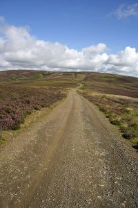 NT525604: looking north-northeast along a moorland road in the Lammermuir Hills. It runs between Tollishill and Longyester. © Walter Baxter, Geograph