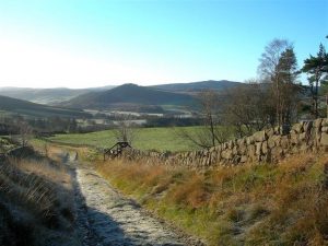 NS389061: looking SSW down the Straiton-Patna track. Bennan Hill is in the background of this view. © Mary and Angus Hogg, Geograph