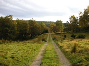 Track between Shenachie and Ruthven. The Findhorn is on the left, in the valley below. © Frances Watt, Geograph