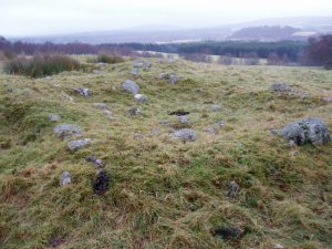 NH 915 411: Marchstripe. Remains of a former croft or farm close to the road from Dulsie to Drynachan. Marked along with its well on the OS 6inch map surveyed 1869, it has disappeared by the time of the 2nd edition 1inch surveyed in 1894. © Dorothy Carse, Geograph