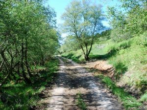 Old Road to Kilmory