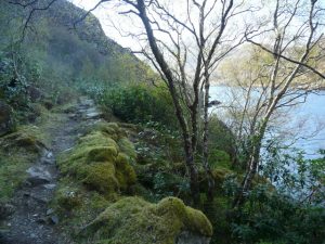 Track to Barisdale, along Loch Beag. © Sylvia Duckworth, Geograph