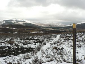 Public Footpath to Lair. © Rob Burke , Geographic