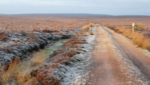Barred track to The Glutt. Presumably at one time they have had problems here with illegal vehicular access as there are several locked barriers along the tracks. © Calum McRoberts, Geograph