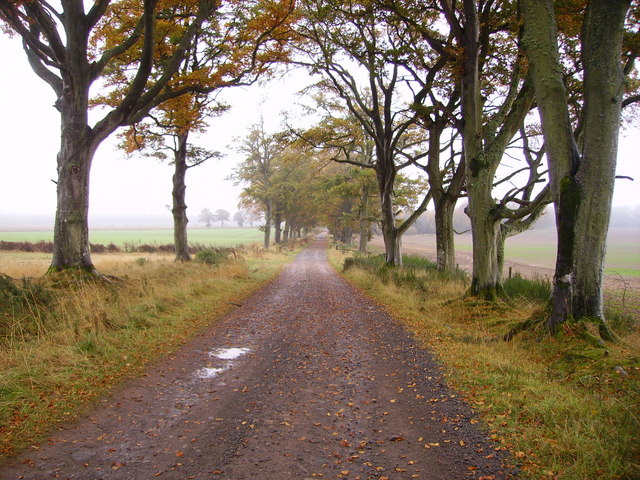 Old Road to Wolfhill