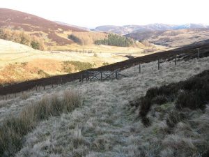 NO463708 looking NE to the spring gate in the electric fence (2007). Although this path is now little used, once it would have been a useful route out of the glen, being a quicker exit to the lowlands than following the glen itself. © Richard Webb, Geograph