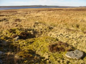 ND085447 looking NW. Remains of mill at Allt nam Beist. Only mounds indicate the site of an old mill in the Caithness Peatlands. One millstone is at the site. Another lies at the bridge downstream. © david glass, Geograph