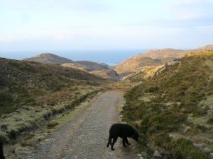 Track to the Point of Sleat. Photo taken looking west towards the point. © Roger McLachlan, Geograph