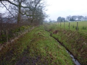 Walking along the edge of the forestry now the road has lost one wall on the right and the drainage ditch takes up half the width of the road but it's still very obvious.  , © Neil Ramsay